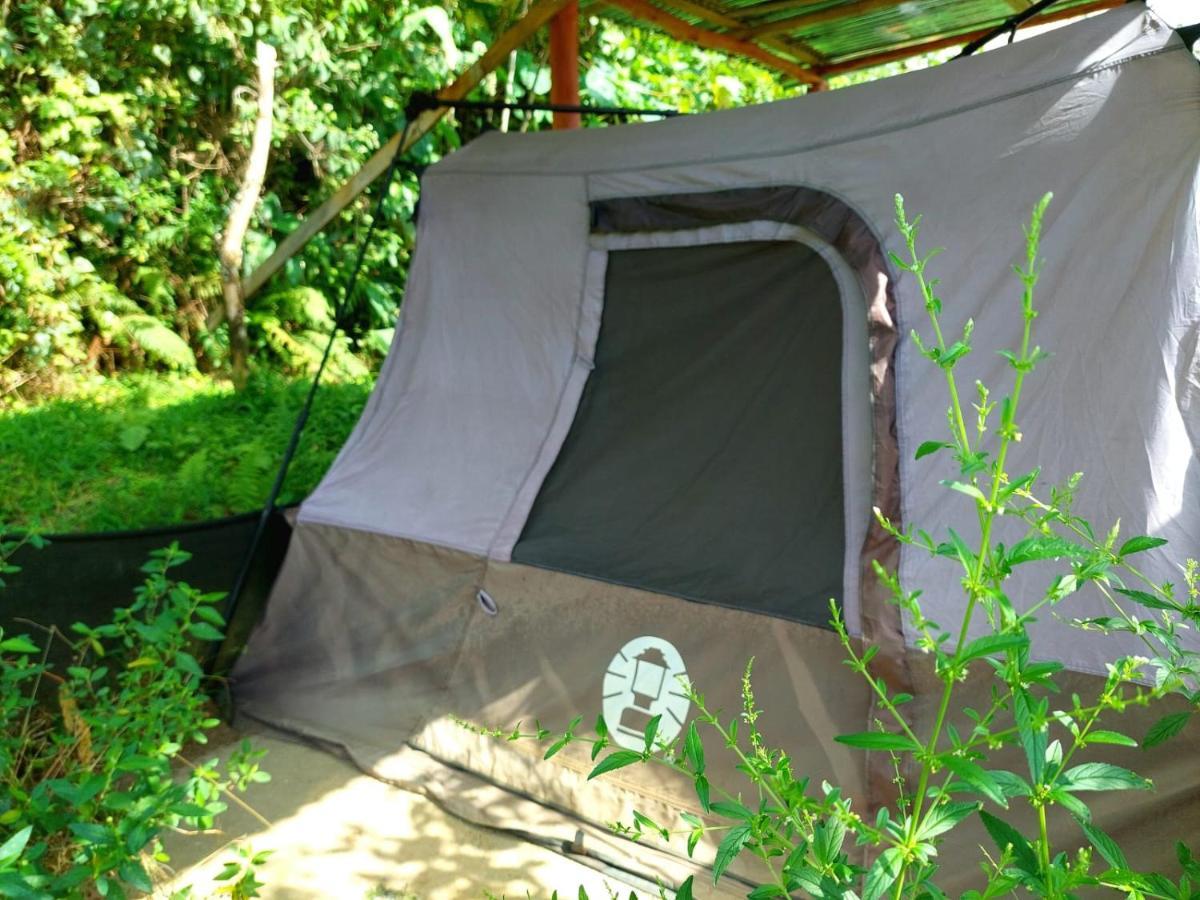 Rustico Arenal B&B La Fortuna Exterior foto